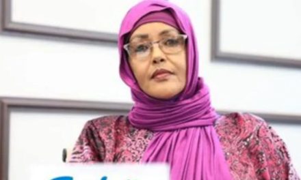 La Somalie a élu sa première femme vice présidente…