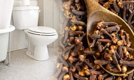 Comment mettre fin aux odeurs d’urine dans les toilettes grâce aux clous de girofle?