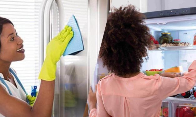 Comment entretenir son frigo: voici les gestes simples