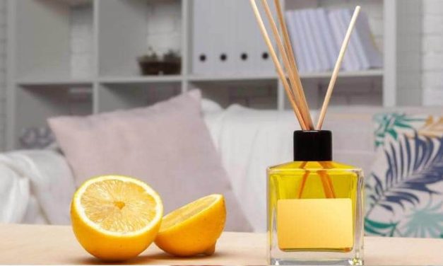 Comment parfumer votre maison et créer une ambiance chaleureuse ?