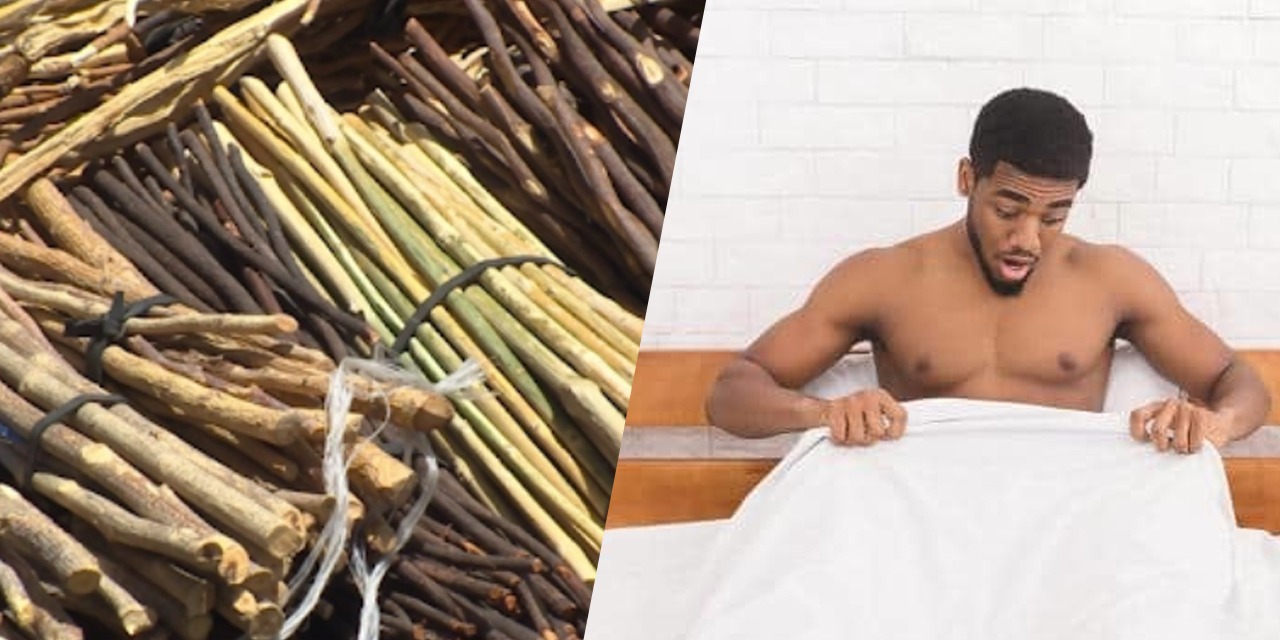 Le cure Dent Gouro en bâtons: le puissant Aphrodisiaque ancestral  ivoirien