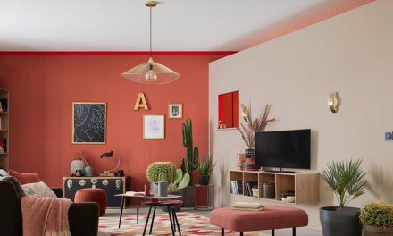 5 couleurs idéal pour votre salon